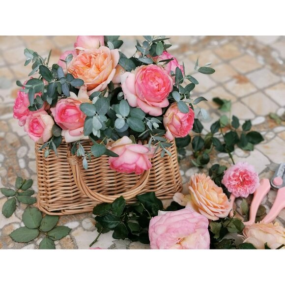 Handcrafted Natural Wicker Tote - Stylish Rectangular Straw Handbag for Women - Picture 5 of 5